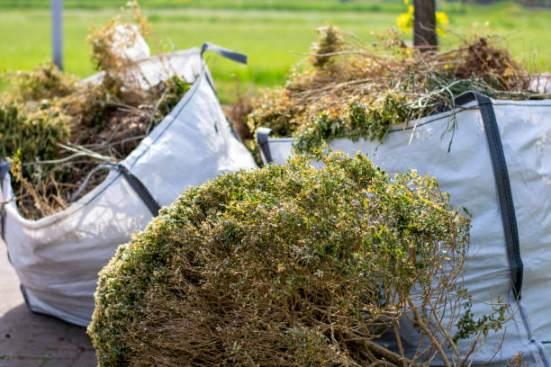 Best Construction Debris Removal  in Carrollton, VA